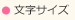 文字サイズ