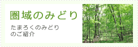 圏域のみどり