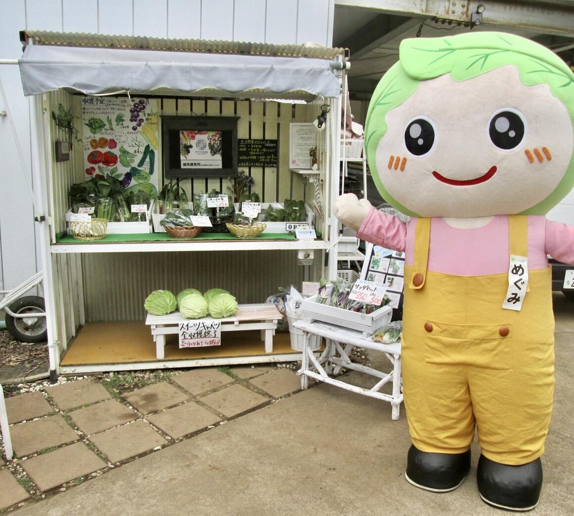農産物直売所のスタンドと着ぐるみのめぐみちゃんの写真