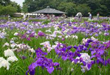 公園等
