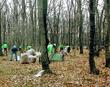 上水新町一丁目地区特別緑地保全地区等