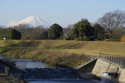 柳瀬川から見える富士山