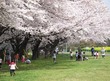 東京大学大学院農業生命科学研究科附属農場