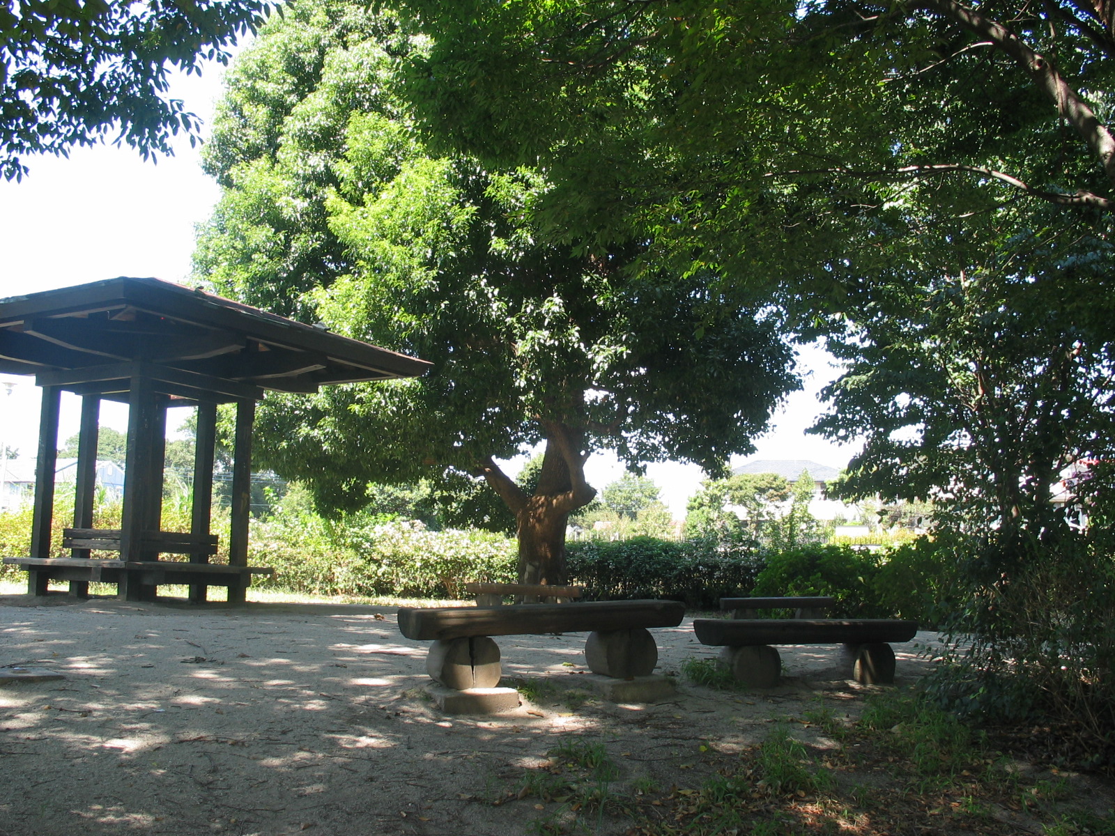 下里本邑遺跡公園の写真