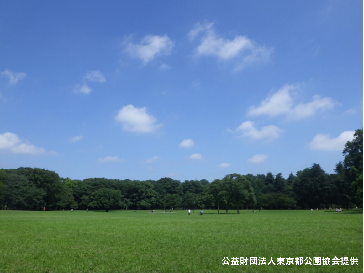 青空と小金井公園の芝生の広場の写真。写真は公益財団法人東京都公園協会提供