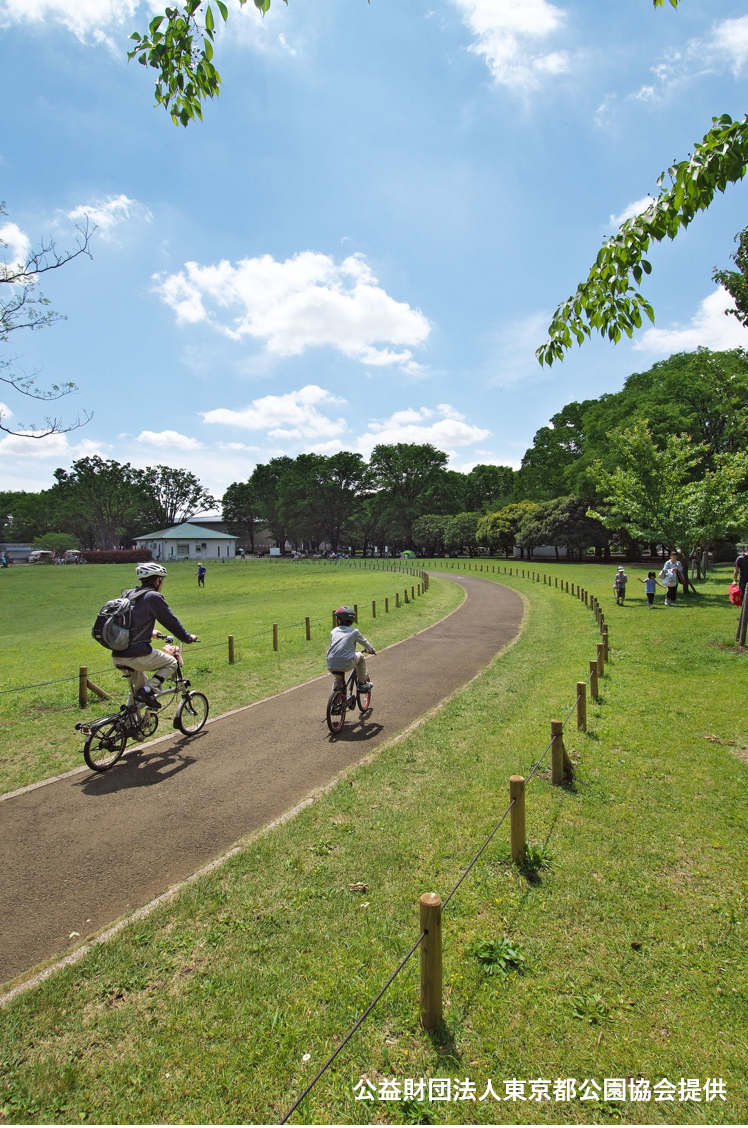 都立小金井公園のサイクリングコースの写真。写真は公益財団法人東京都公園協会提供