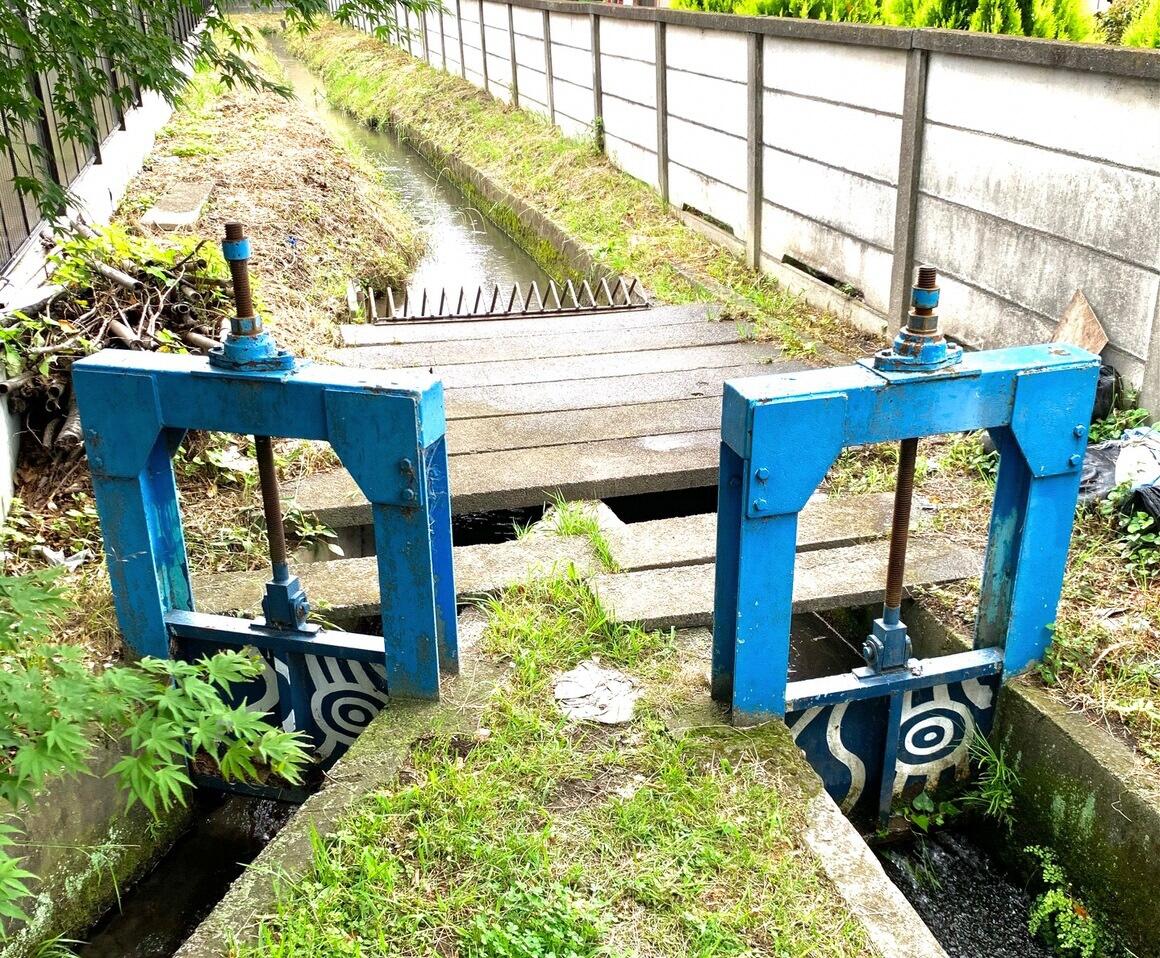 奥から流れてくる小川用水を、手前の2つの青い水門で分水している写真