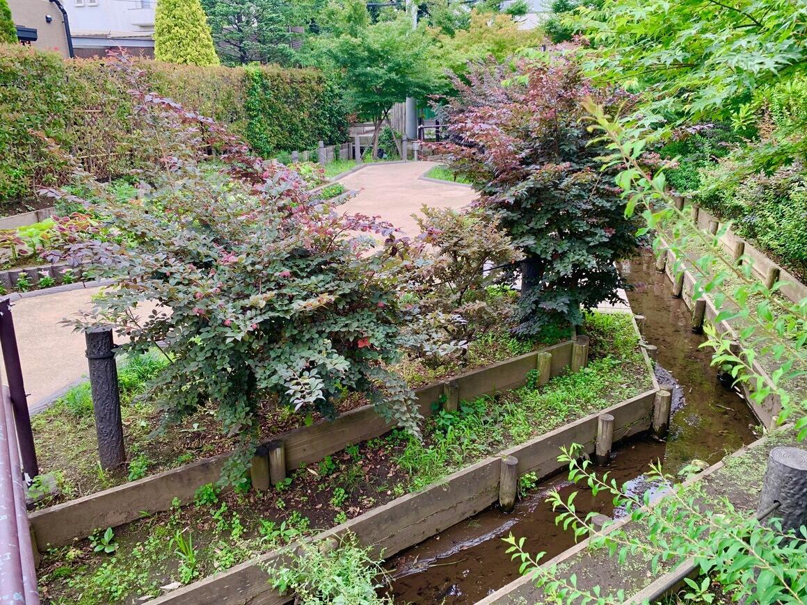 右手奥から手前の堀を小川用水が流れ、左手が花壇のある親水広場の写真