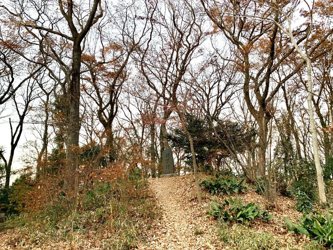 冬枯れの八国山緑地の小高い尾根道に、将軍塚が見えている写真