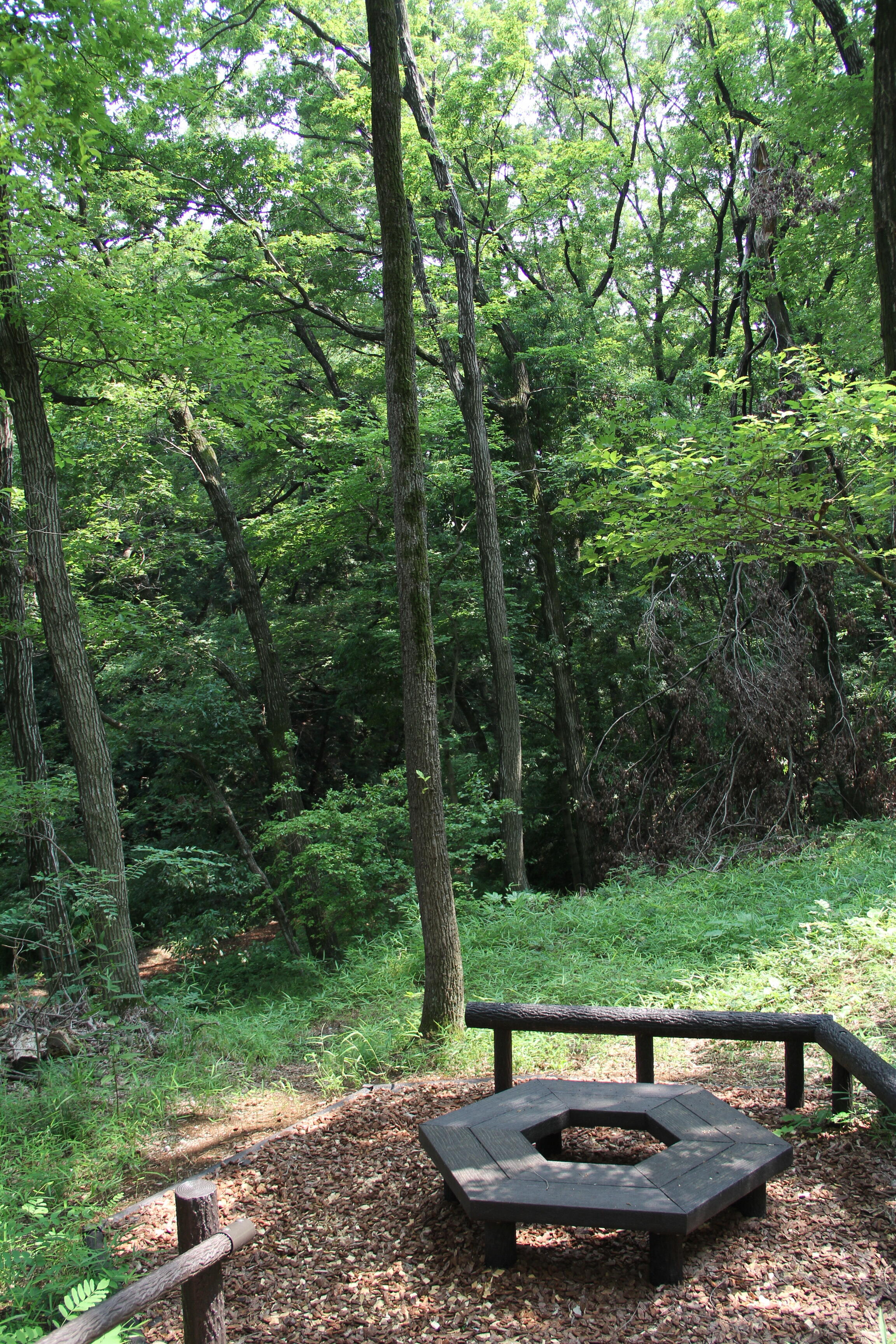 せせらぎの郷多摩湖緑地と六角形のベンチ