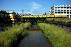西武池袋線の黄色い電車が黒目川の鉄橋を渡り、水面には電車が映っている写真