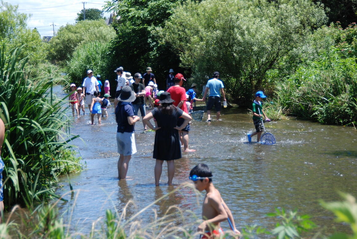 夏の落合川いこいの水辺で、多くの人々が川に入って水遊びをしている写真
