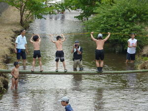 夏の落合川の両岸に渡した太い竹に、水着姿の子供が三人が乗って飛び込もうとしている写真