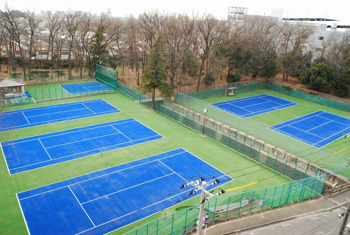 りゅうせんえんの青いテニスコートの写真。冬枯れの木々を背景に、テニスコート五面と壁打ちコートが映っています。