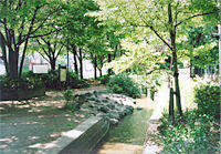 千川上水の遊歩道の写真