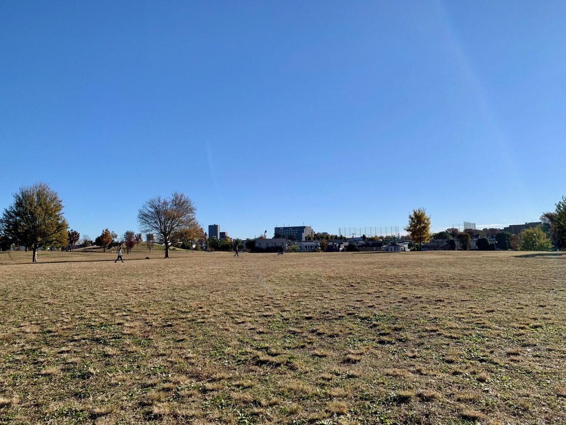 青い空と、都立東伏見公園の芝生広場の写真。左の方には名物のローラーすべり台が見えています。