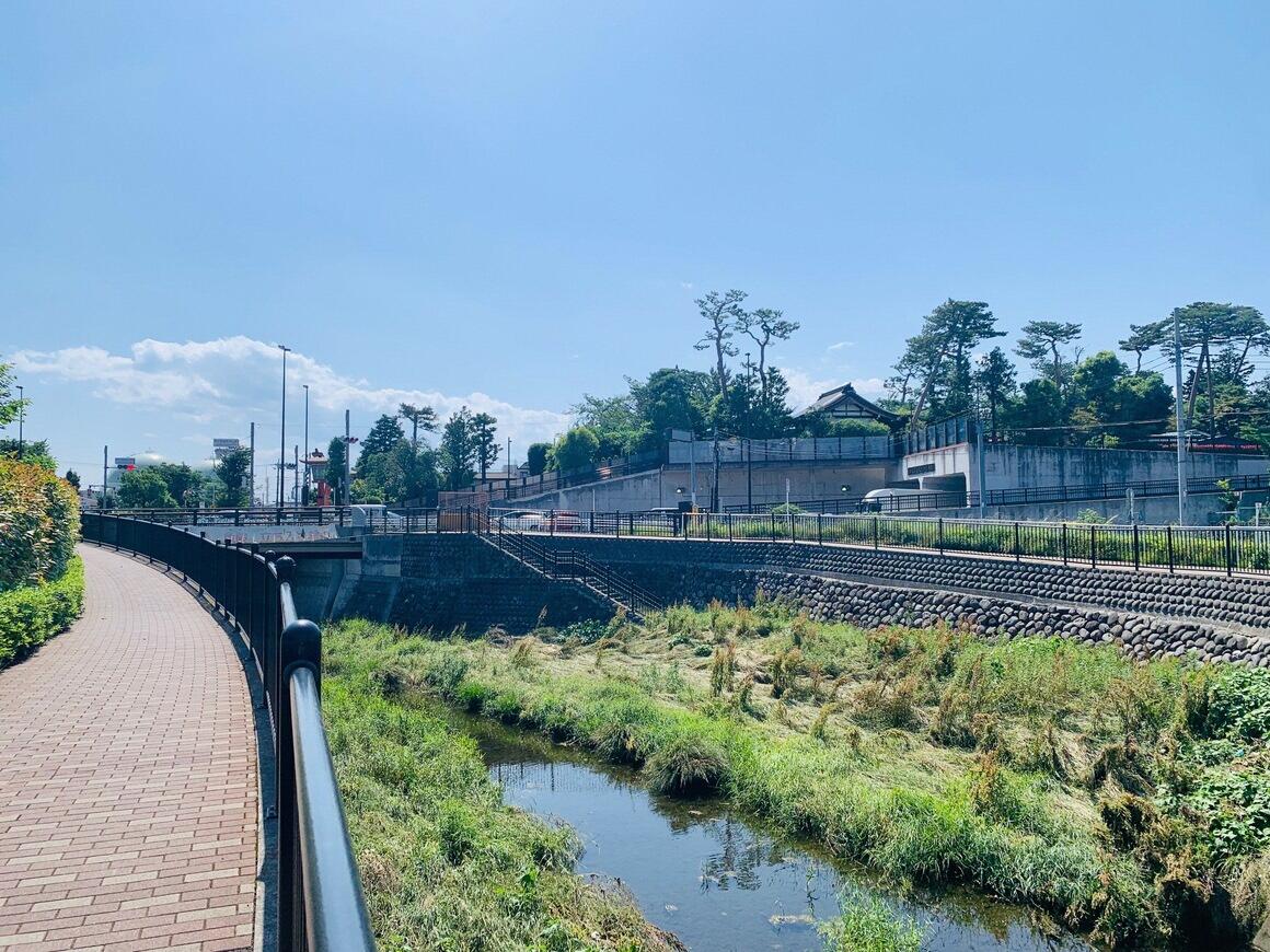 東伏見橋付近の石神井川の流れと、レンガ風に舗装された北岸の遊歩道の写真