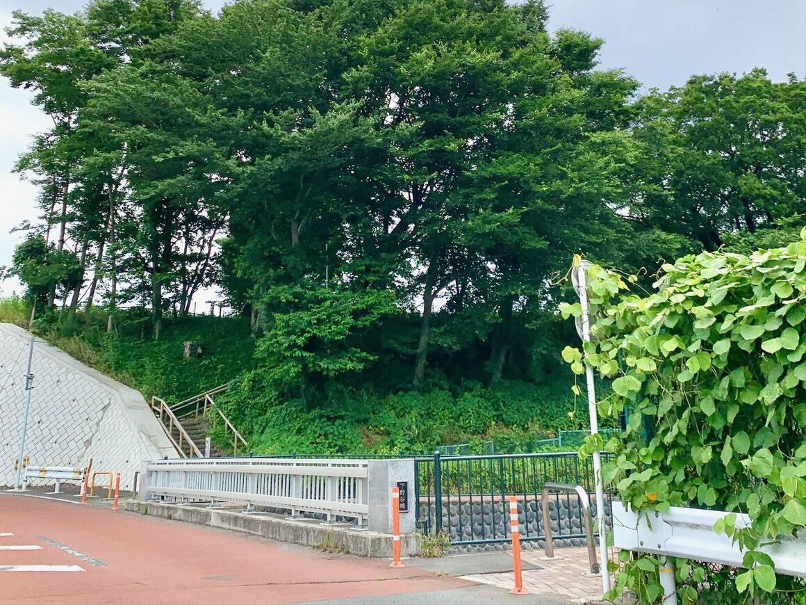 したのや橋といせき公園のある緑の高台の写真。遺跡公園まで登る階段が見えています。
