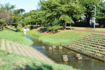 東久留米市しんやま親水広場、階段護岸