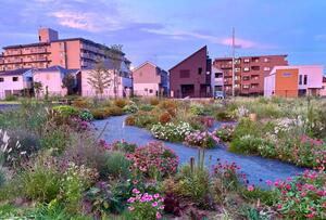 清瀬市花の里公園、ナチュラルガーデン